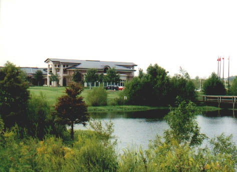 Wetland Scene